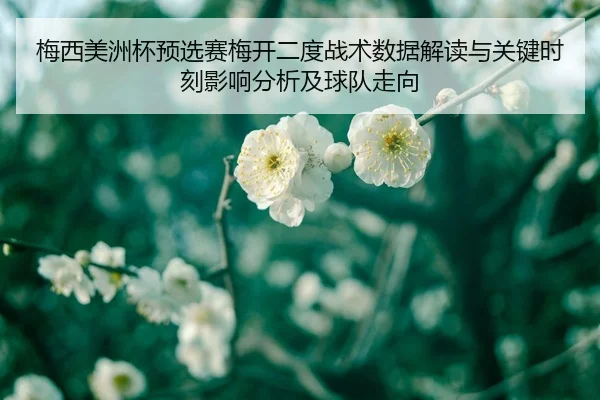 mei-xi-mei-zhou-bei-yu-xuan-sai-mei-kai-er-du-zhan-shu-shu-ju-jie-du-yu-guan-jian-shi-ke-ying-xiang-fen-xi-ji-qiu-dui-2-988.jpg